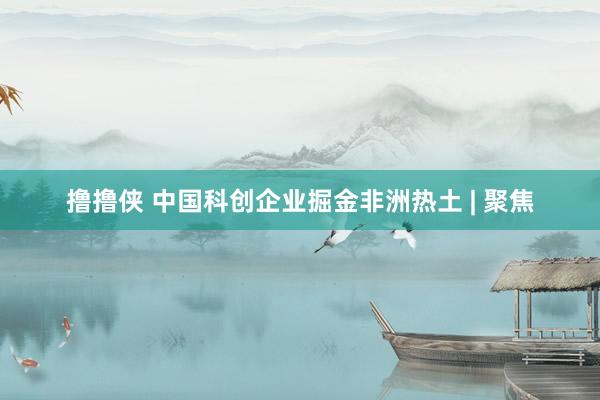 撸撸侠 中国科创企业掘金非洲热土 | 聚焦