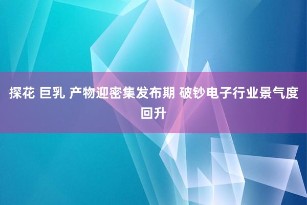 探花 巨乳 产物迎密集发布期 破钞电子行业景气度回升