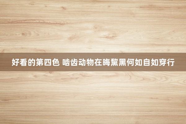 好看的第四色 啮齿动物在晦黧黑何如自如穿行