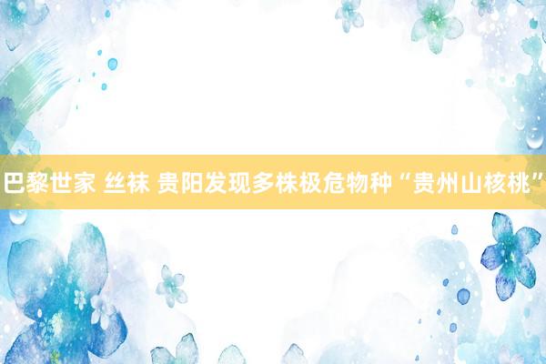 巴黎世家 丝袜 贵阳发现多株极危物种“贵州山核桃”