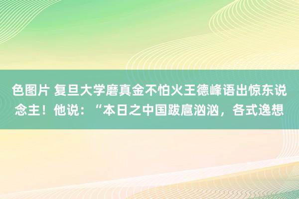 色图片 复旦大学磨真金不怕火王德峰语出惊东说念主！他说：“本日之中国跋扈汹汹，各式逸想