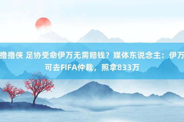 撸撸侠 足协受命伊万无需赔钱？媒体东说念主：伊万可去FIFA仲裁，照拿833万