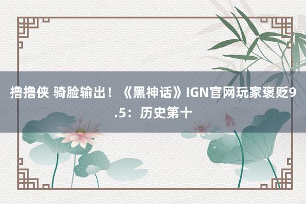 撸撸侠 骑脸输出！《黑神话》IGN官网玩家褒贬9.5：历史第十