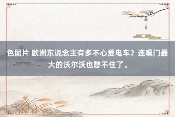 色图片 欧洲东说念主有多不心爱电车？连嗓门最大的沃尔沃也憋不住了。