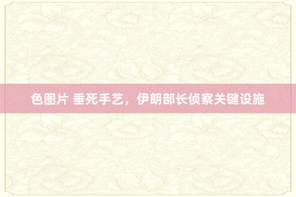色图片 垂死手艺，伊朗部长侦察关键设施