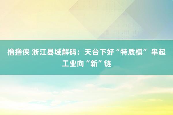 撸撸侠 浙江县域解码：天台下好“特质棋” 串起工业向“新”链