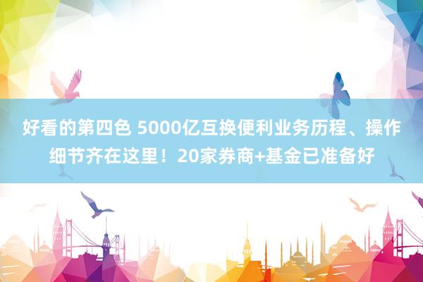 好看的第四色 5000亿互换便利业务历程、操作细节齐在这里！20家券商+基金已准备好