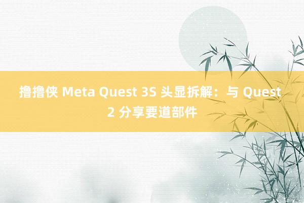 撸撸侠 Meta Quest 3S 头显拆解：与 Quest 2 分享要道部件