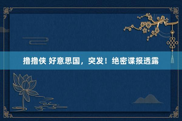 撸撸侠 好意思国，突发！绝密谍报透露