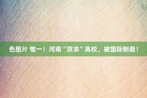 色图片 惟一！河南“双非”高校，被国际制裁！