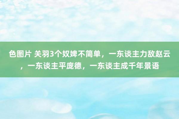色图片 关羽3个奴婢不简单，一东谈主力敌赵云，一东谈主平庞德，一东谈主成千年景语