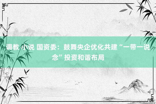调教 小说 国资委：鼓舞央企优化共建“一带一说念”投资和谐布局