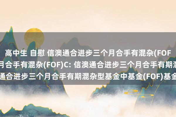 高中生 自慰 信澳通合进步三个月合手有混杂(FOF)A，信澳通合进步三个月合手有混杂(FOF)C: 信澳通合进步三个月合手有期混杂型基金中基金(FOF)基金合同