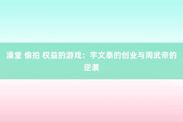 澡堂 偷拍 权益的游戏：宇文泰的创业与周武帝的逆袭