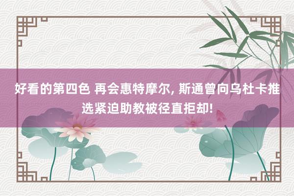 好看的第四色 再会惠特摩尔， 斯通曾向乌杜卡推选紧迫助教被径直拒却!