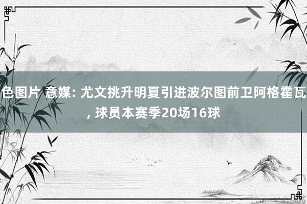 色图片 意媒: 尤文挑升明夏引进波尔图前卫阿格霍瓦， 球员本赛季20场16球