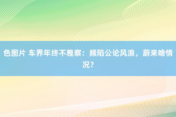 色图片 车界年终不雅察：频陷公论风浪，蔚来啥情况？