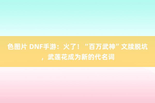 色图片 DNF手游：火了！“百万武神”文牍脱坑，武莲花成为新的代名词