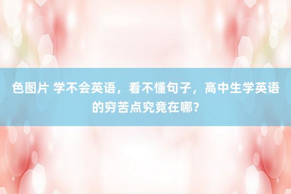色图片 学不会英语，看不懂句子，高中生学英语的穷苦点究竟在哪？