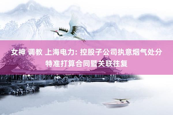 女神 调教 上海电力: 控股子公司执意烟气处分特准打算合同暨关联往复