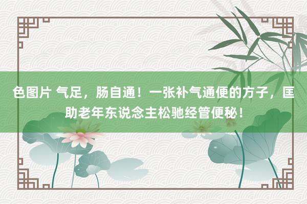 色图片 气足，肠自通！一张补气通便的方子，匡助老年东说念主松驰经管便秘！