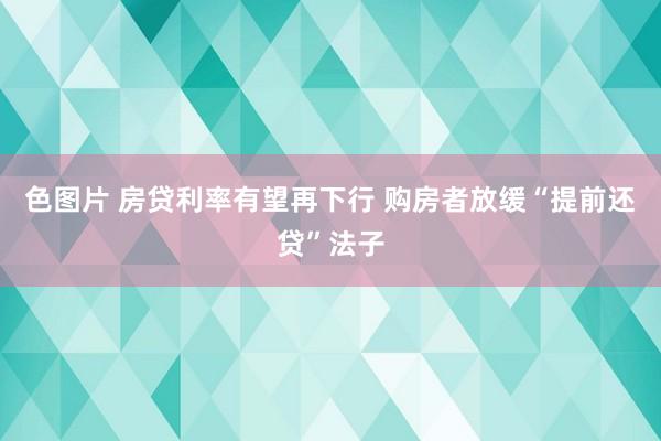 色图片 房贷利率有望再下行 购房者放缓“提前还贷”法子