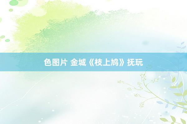 色图片 金城《枝上鸠》抚玩