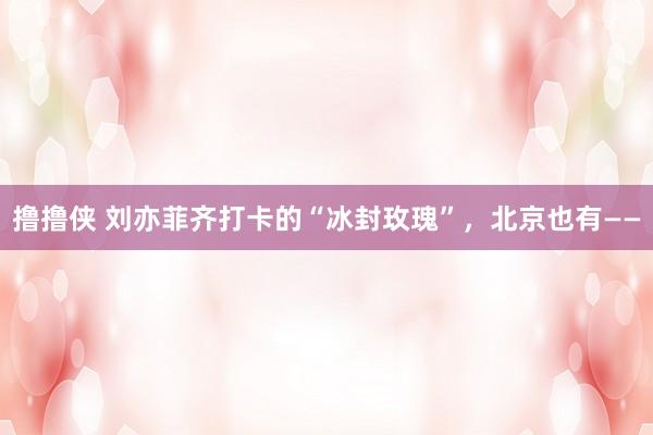 撸撸侠 刘亦菲齐打卡的“冰封玫瑰”，北京也有——
