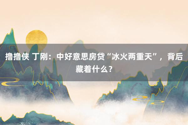 撸撸侠 丁刚：中好意思房贷“冰火两重天”，背后藏着什么？