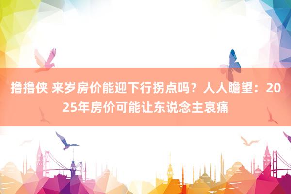 撸撸侠 来岁房价能迎下行拐点吗？人人瞻望：2025年房价可能让东说念主哀痛
