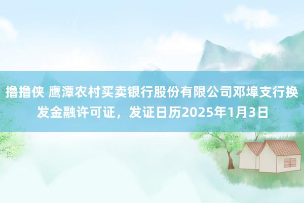 撸撸侠 鹰潭农村买卖银行股份有限公司邓埠支行换发金融许可证，发证日历2025年1月3日