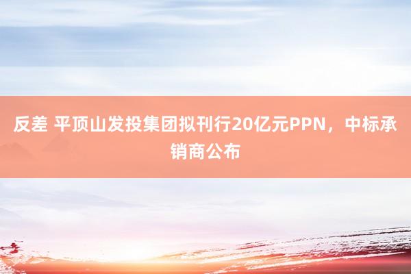 反差 平顶山发投集团拟刊行20亿元PPN，中标承销商公布