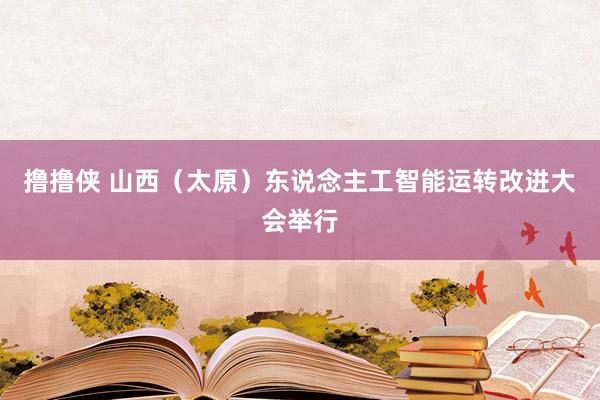 撸撸侠 山西（太原）东说念主工智能运转改进大会举行