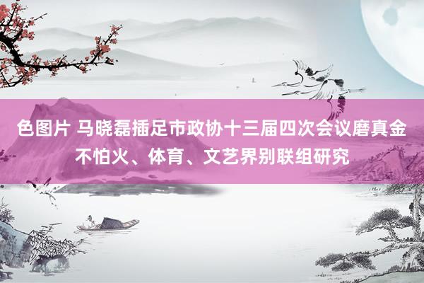 色图片 马晓磊插足市政协十三届四次会议磨真金不怕火、体育、文艺界别联组研究