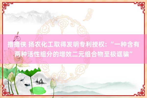 撸撸侠 扬农化工取得发明专利授权: “一种含有两种活性组分的增效二元组合物至极诓骗”