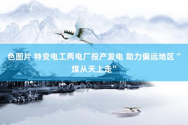 色图片 特变电工两电厂投产发电 助力偏远地区“煤从天上走”