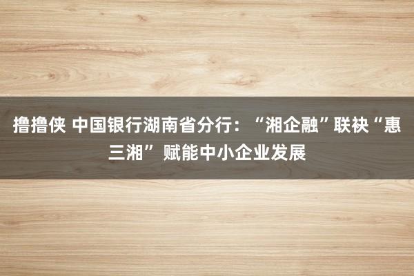 撸撸侠 中国银行湖南省分行：“湘企融”联袂“惠三湘” 赋能中小企业发展