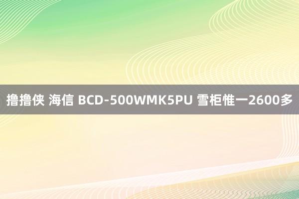 撸撸侠 海信 BCD-500WMK5PU 雪柜惟一2600多