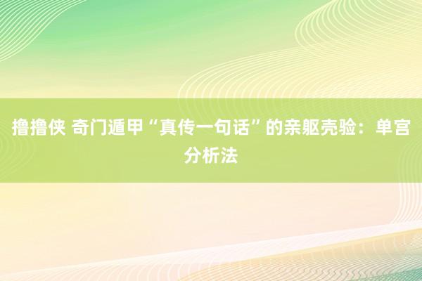 撸撸侠 奇门遁甲“真传一句话”的亲躯壳验：单宫分析法