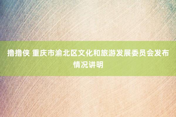 撸撸侠 重庆市渝北区文化和旅游发展委员会发布情况讲明