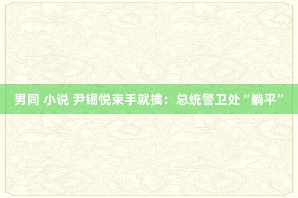 男同 小说 尹锡悦束手就擒：总统警卫处“躺平”