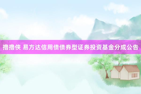 撸撸侠 易方达信用债债券型证券投资基金分成公告