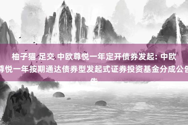 柚子猫 足交 中欧尊悦一年定开债券发起: 中欧尊悦一年按期通达债券型发起式证券投资基金分成公告