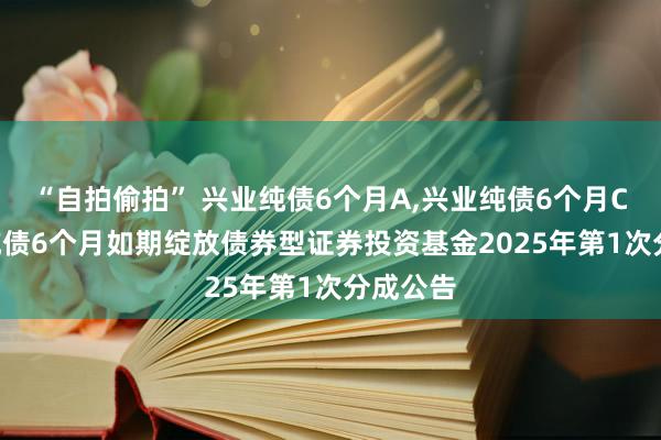 “自拍偷拍” 兴业纯债6个月A,兴业纯债6个月C: 兴业纯债6个月如期绽放债券型证券投资基金2025年第1次分成公告