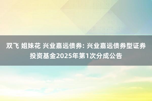 双飞 姐妹花 兴业嘉远债券: 兴业嘉远债券型证券投资基金2025年第1次分成公告