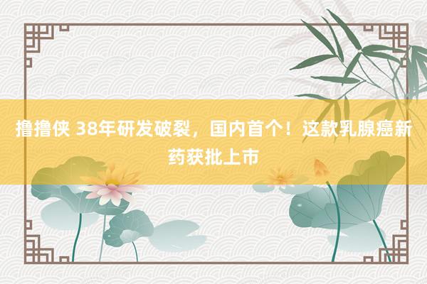撸撸侠 38年研发破裂，国内首个！这款乳腺癌新药获批上市