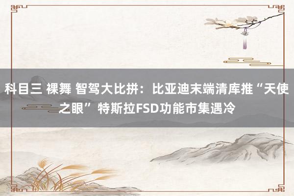 科目三 裸舞 智驾大比拼：比亚迪末端清库推“天使之眼” 特斯拉FSD功能市集遇冷