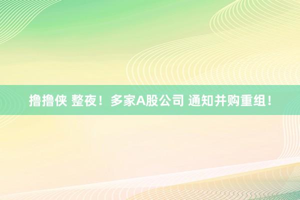 撸撸侠 整夜！多家A股公司 通知并购重组！