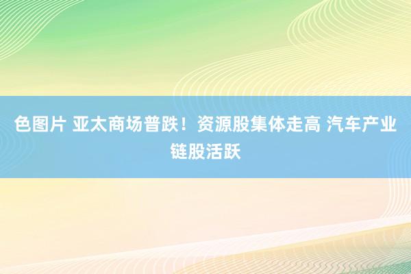 色图片 亚太商场普跌！资源股集体走高 汽车产业链股活跃