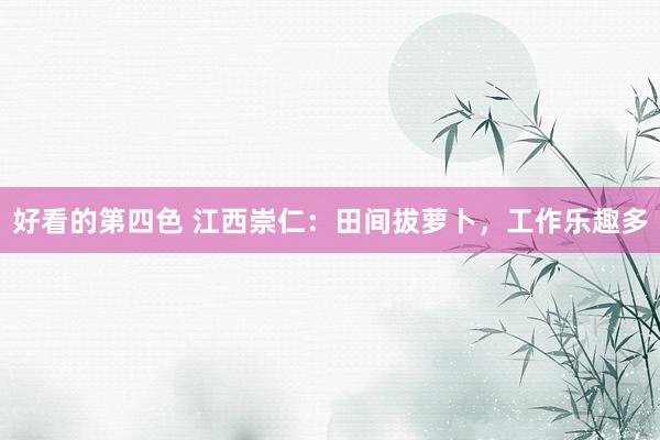 好看的第四色 江西崇仁：田间拔萝卜，工作乐趣多